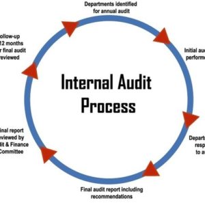 audit internal incorporate objectives strategic ways plan into hybrid process